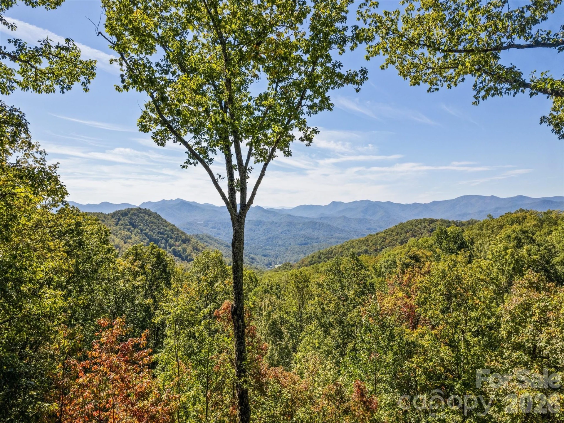 1635 Quest Ridge - Photo 47