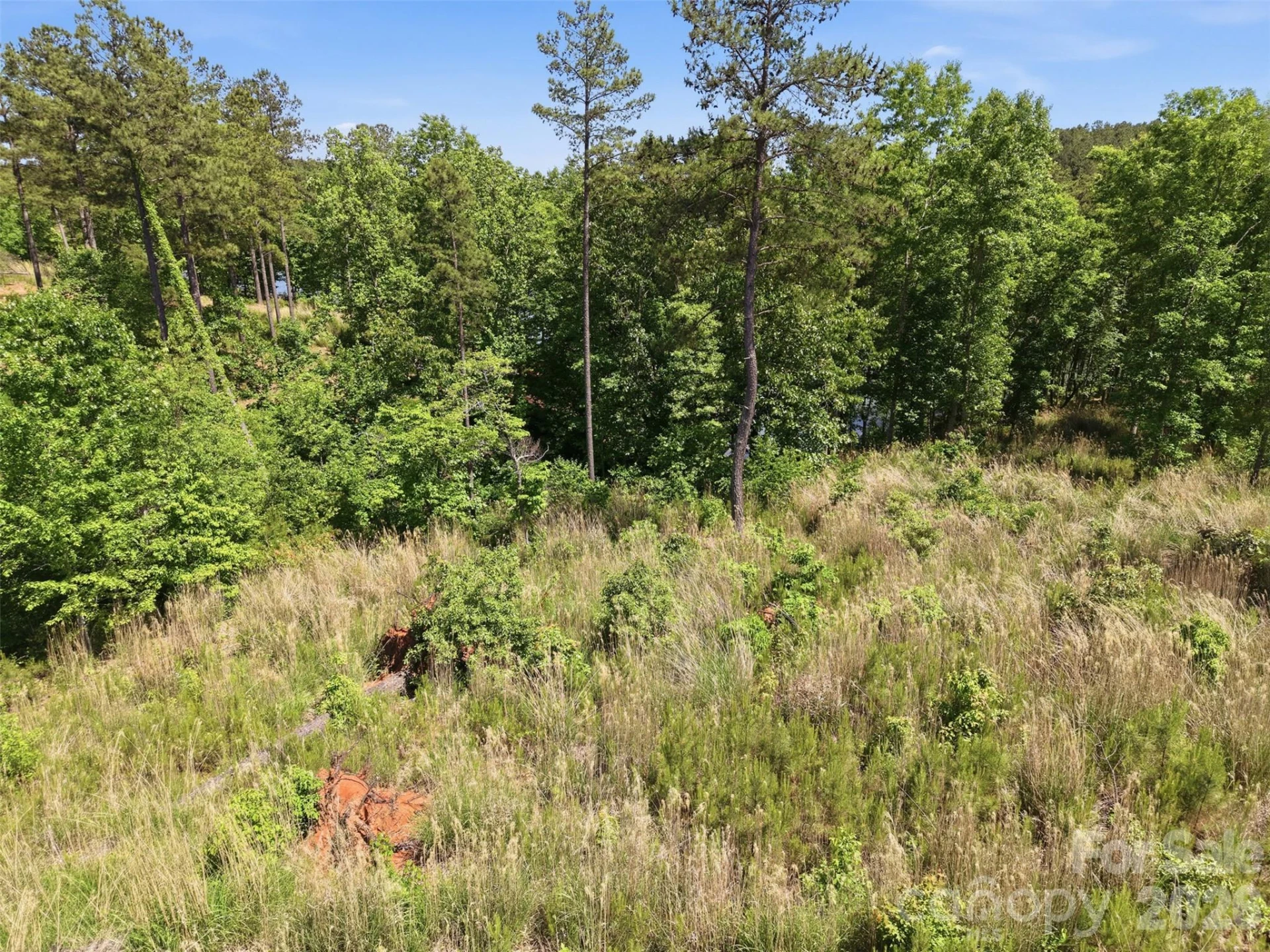 2326 Princeton Mountain #69 - Photo 7