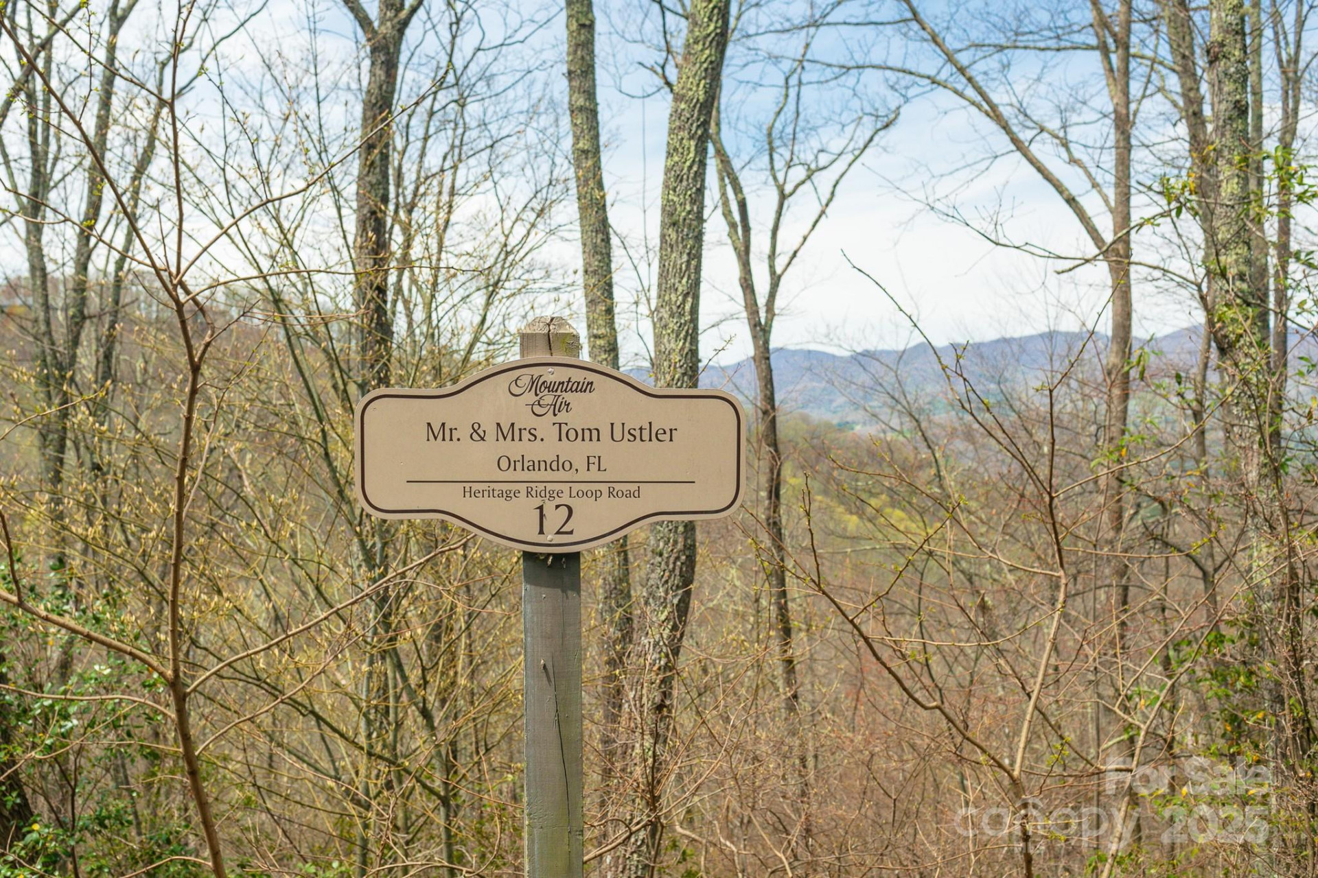 Lot 12 Heritage Ridge Loop - Photo 11