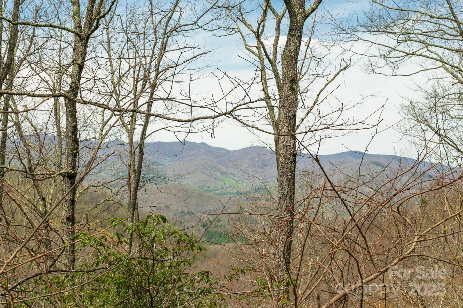 Lot 12 Heritage Ridge Loop - Photo 3