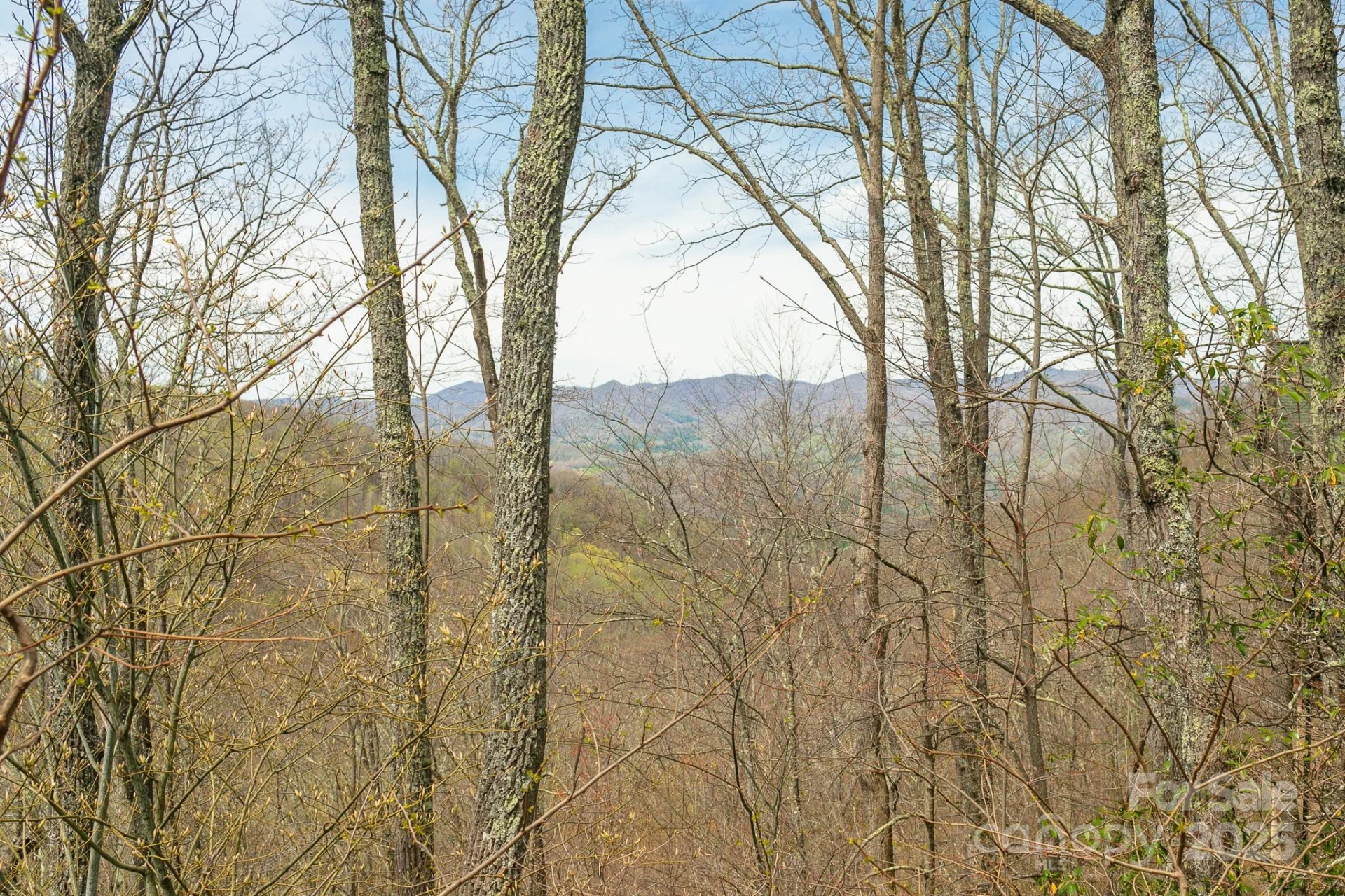 Lot 12 Heritage Ridge Loop - Photo 5