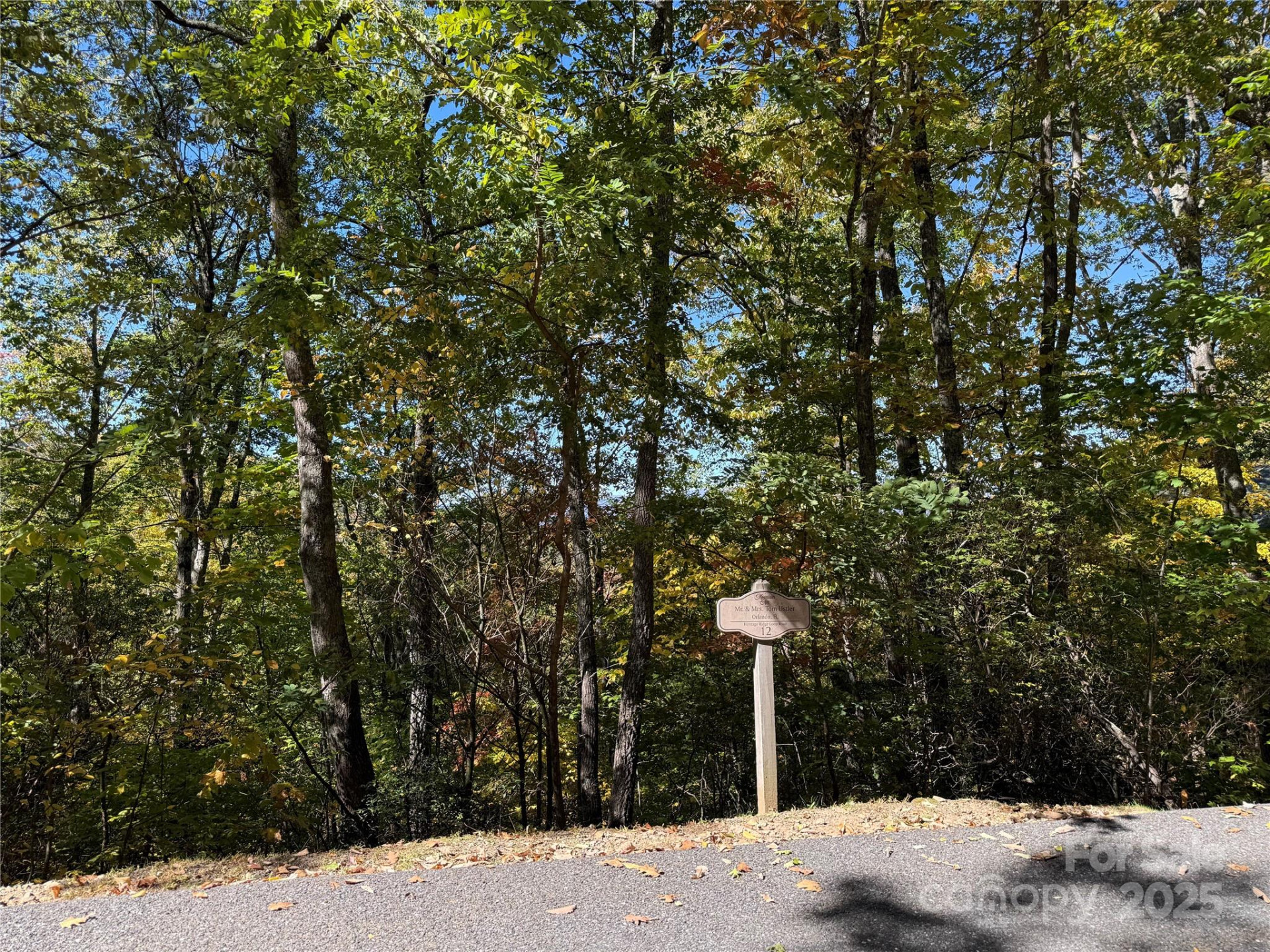 Lot 12 Heritage Ridge Loop - Photo 6