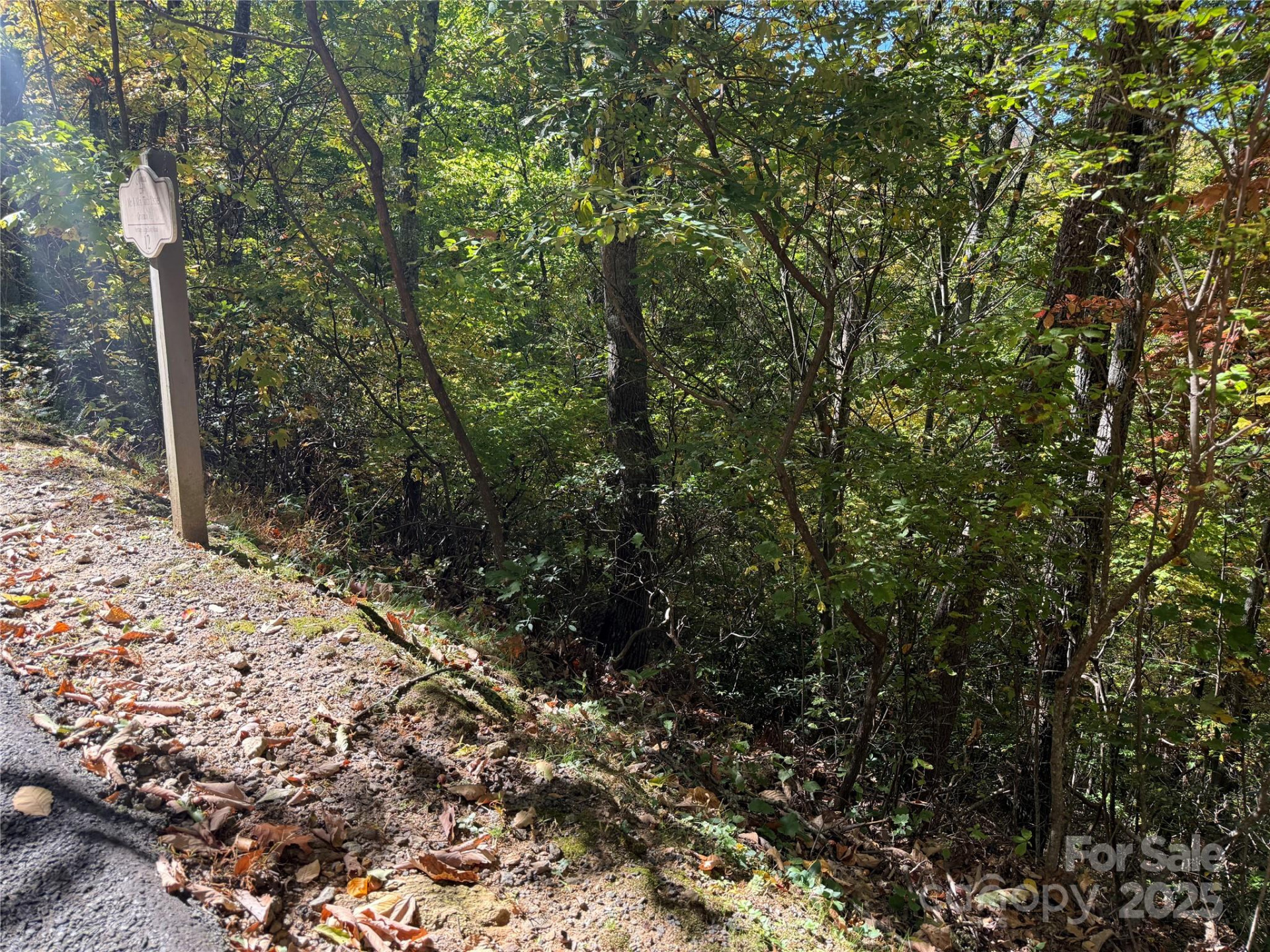 Lot 12 Heritage Ridge Loop - Photo 7