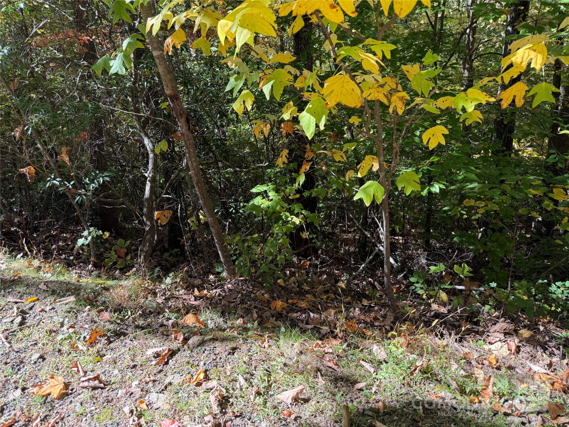 Lot 12 Heritage Ridge Loop - Photo 8