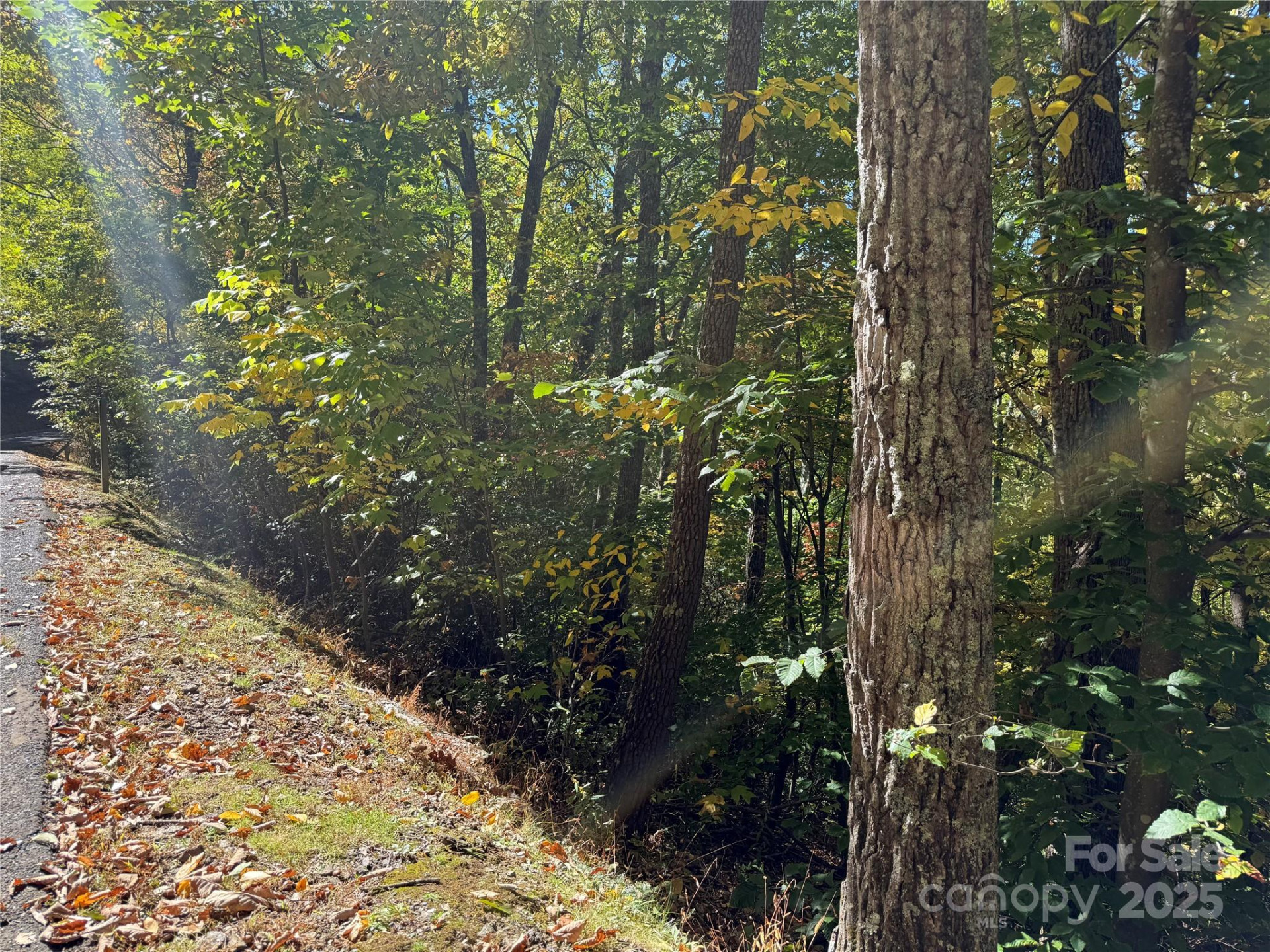 Lot 12 Heritage Ridge Loop - Photo 9