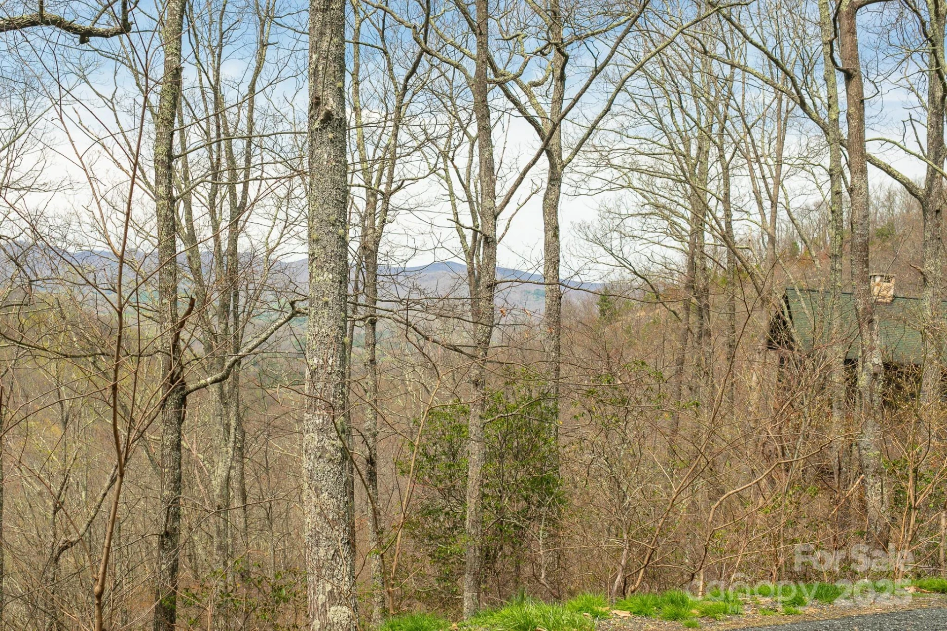 Lot 12 Heritage Ridge Loop - Photo 10