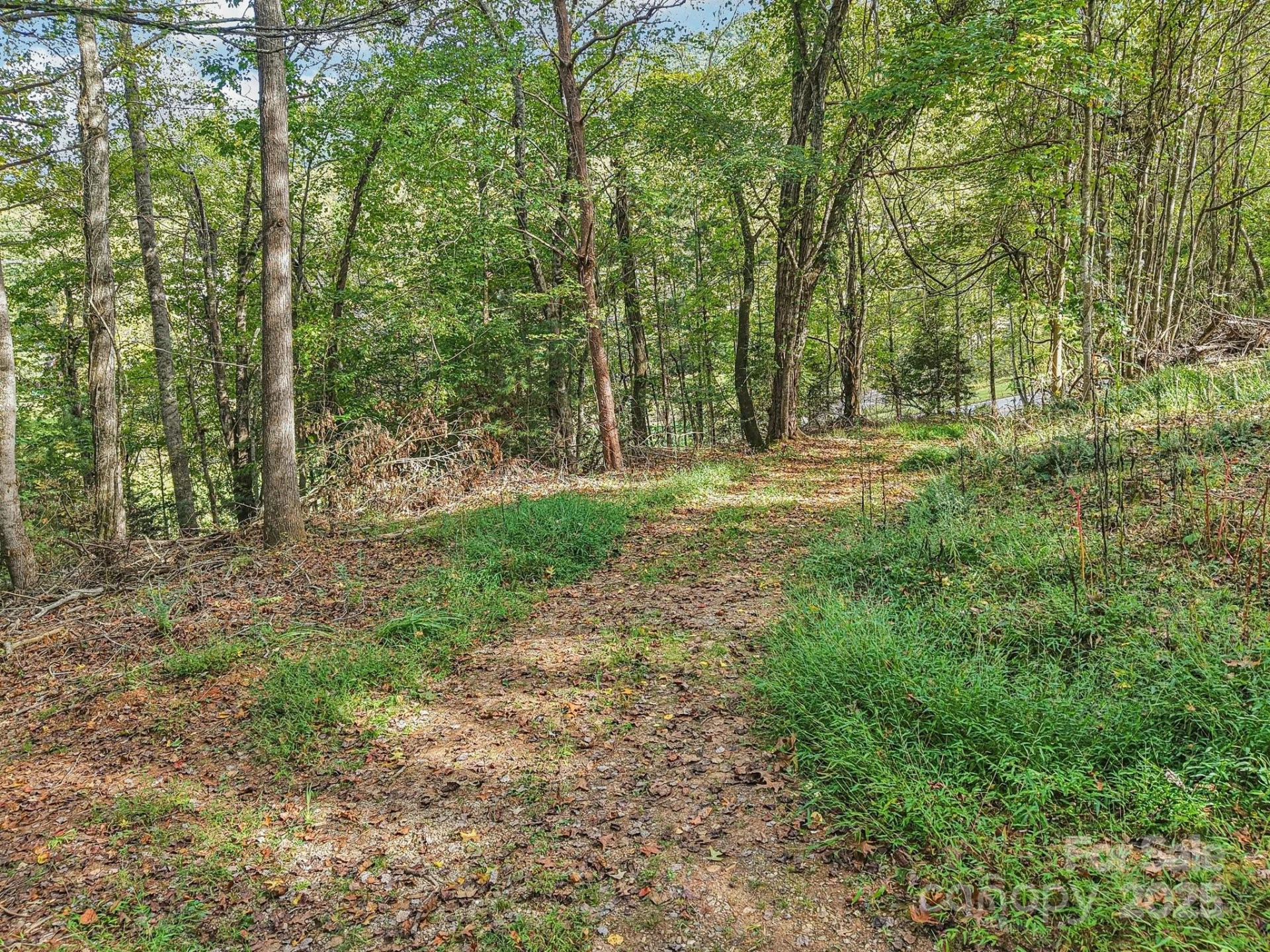 TBD Upper Glady Fork Road - Photo 2