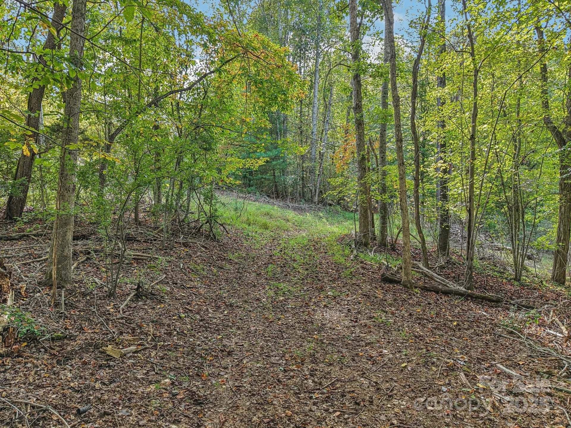 TBD Upper Glady Fork Road - Photo 3