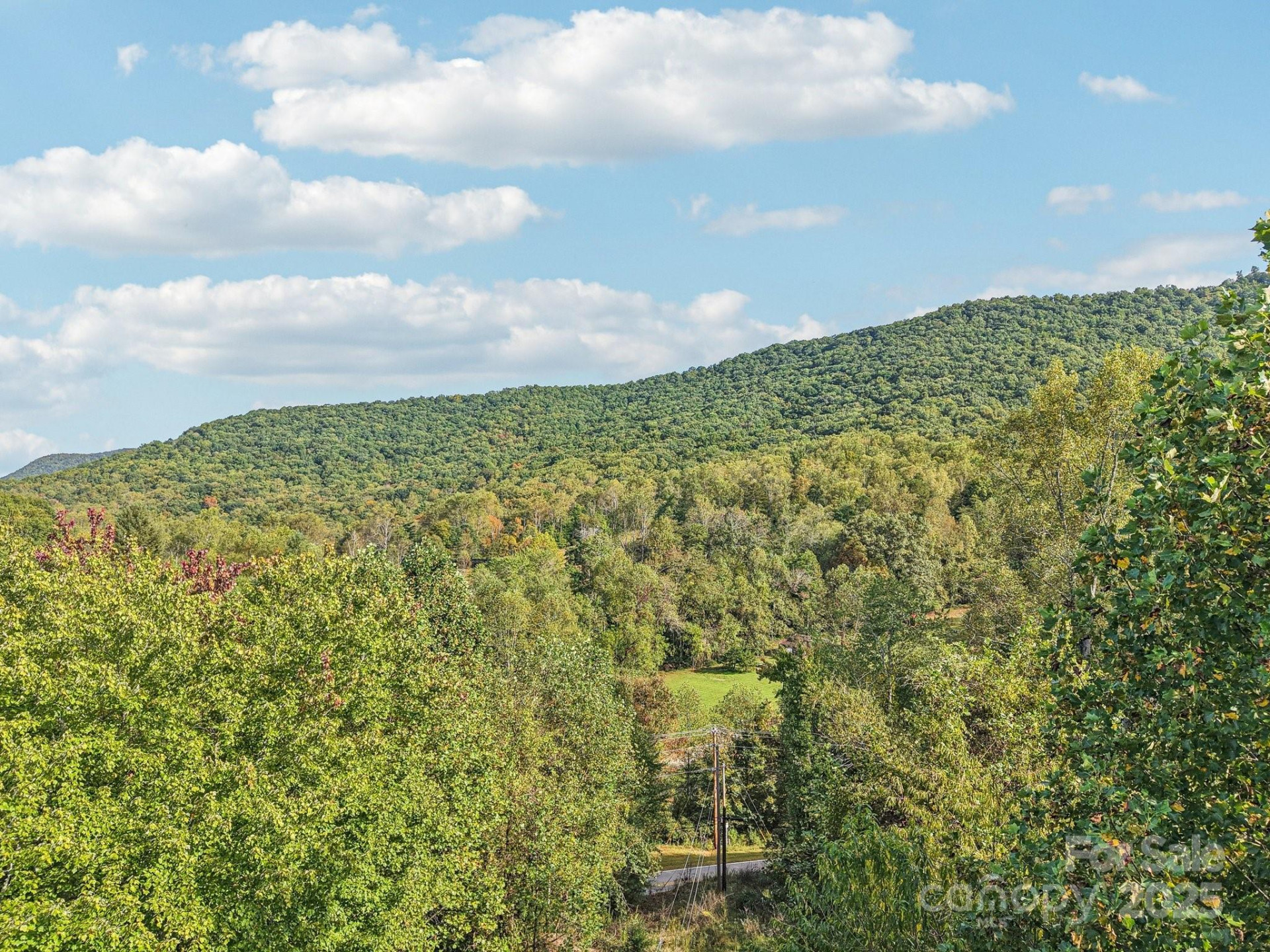 TBD Upper Glady Fork Road - Photo 5
