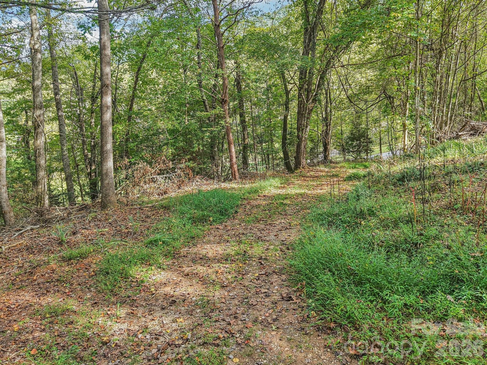 TBD Upper Glady Fork Road - Photo 3