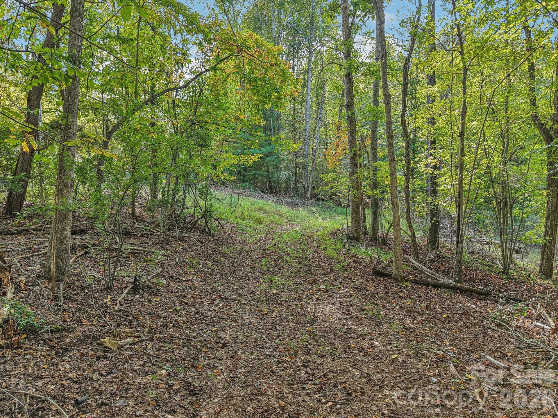 TBD Upper Glady Fork Road - Photo 4
