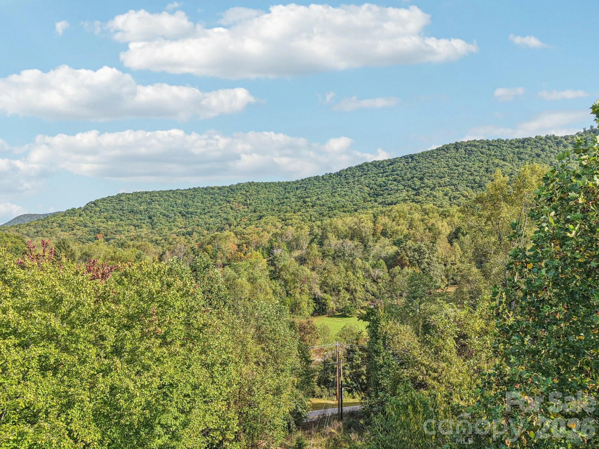 TBD Upper Glady Fork Road - Photo 6