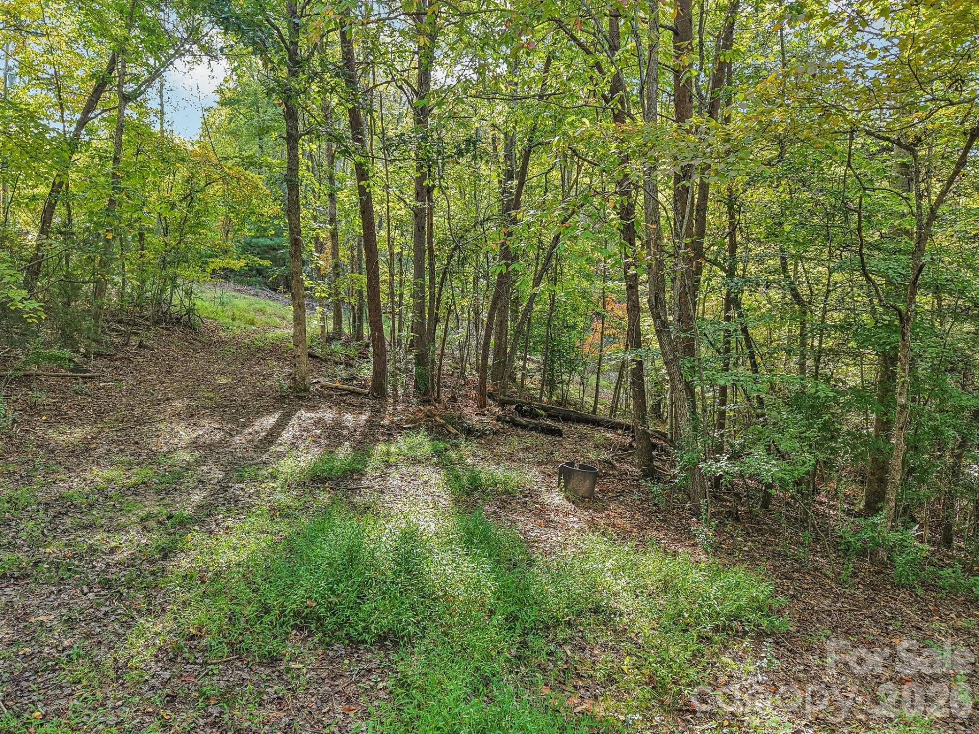 TBD Upper Glady Fork Road - Photo 7