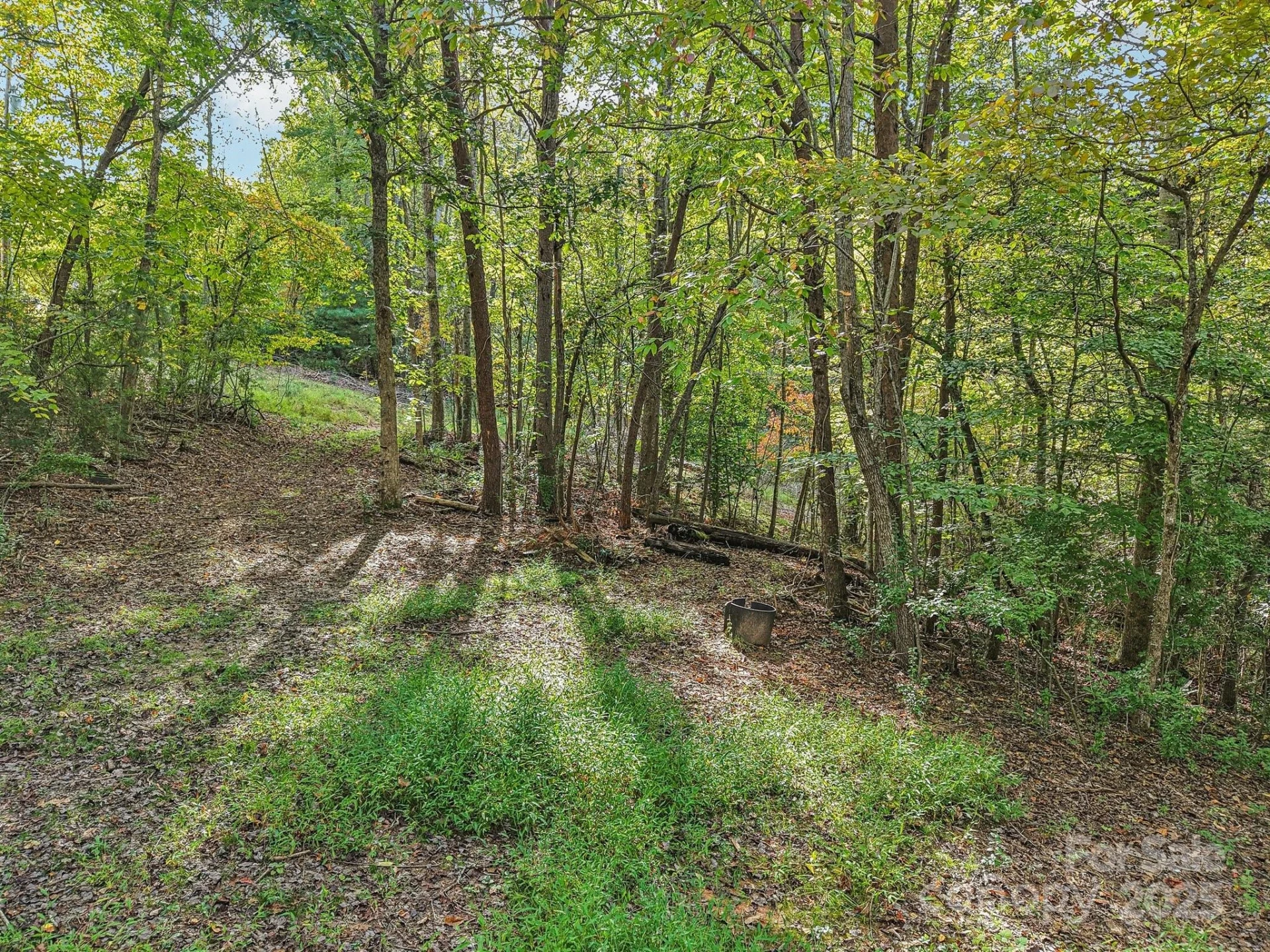 TBD Upper Glady Fork Road - Photo 6