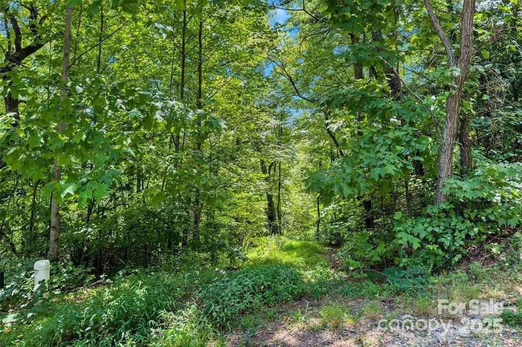 144 Galax Drive #T-42