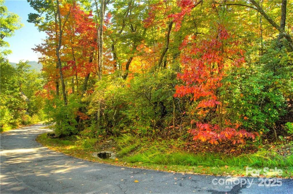 144 Galax Drive #T-42 - Photo 2