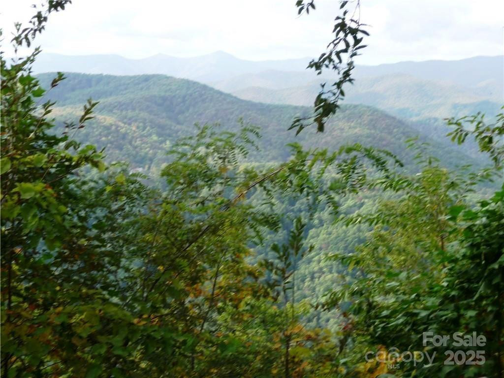 144 Galax Drive #T-42 - Photo 12