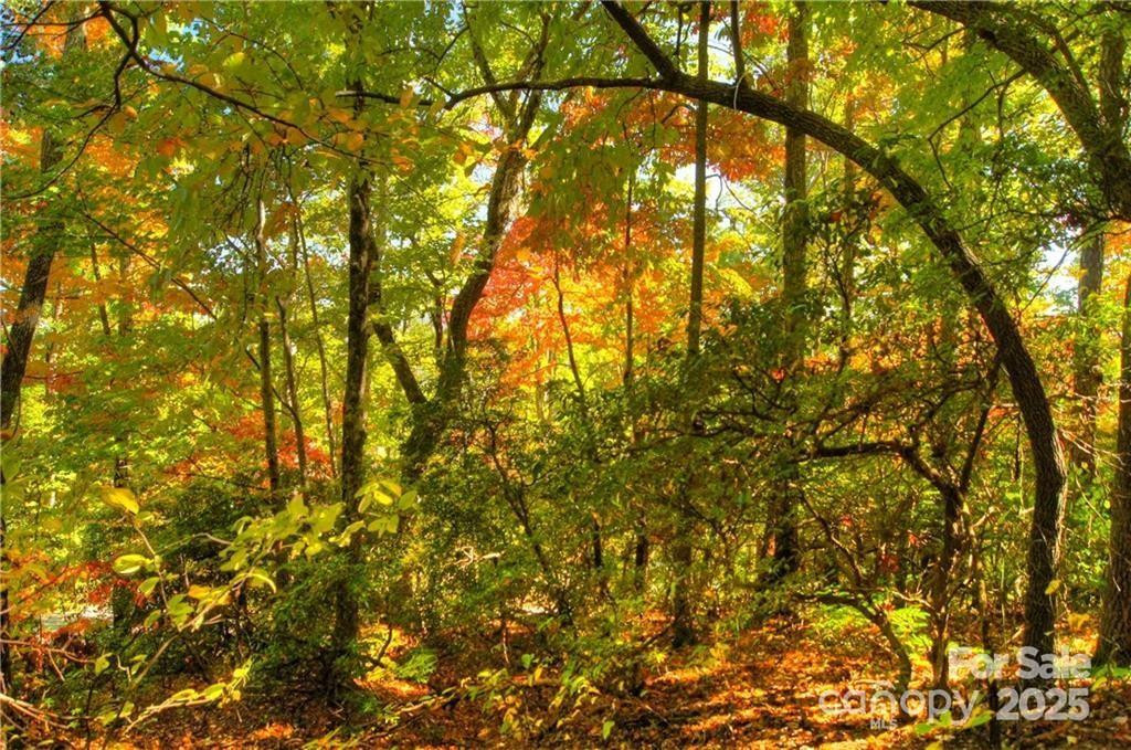 144 Galax Drive #T-42 - Photo 3