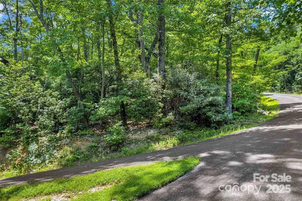 144 Galax Drive #T-42 - Photo 4