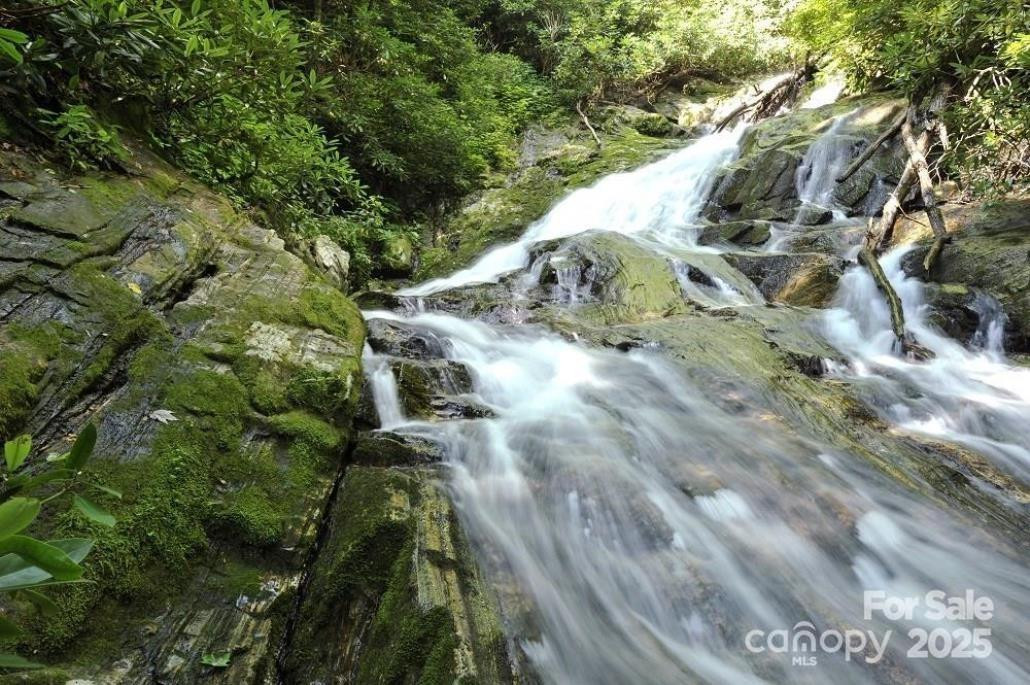 144 Galax Drive #T-42 - Photo 8