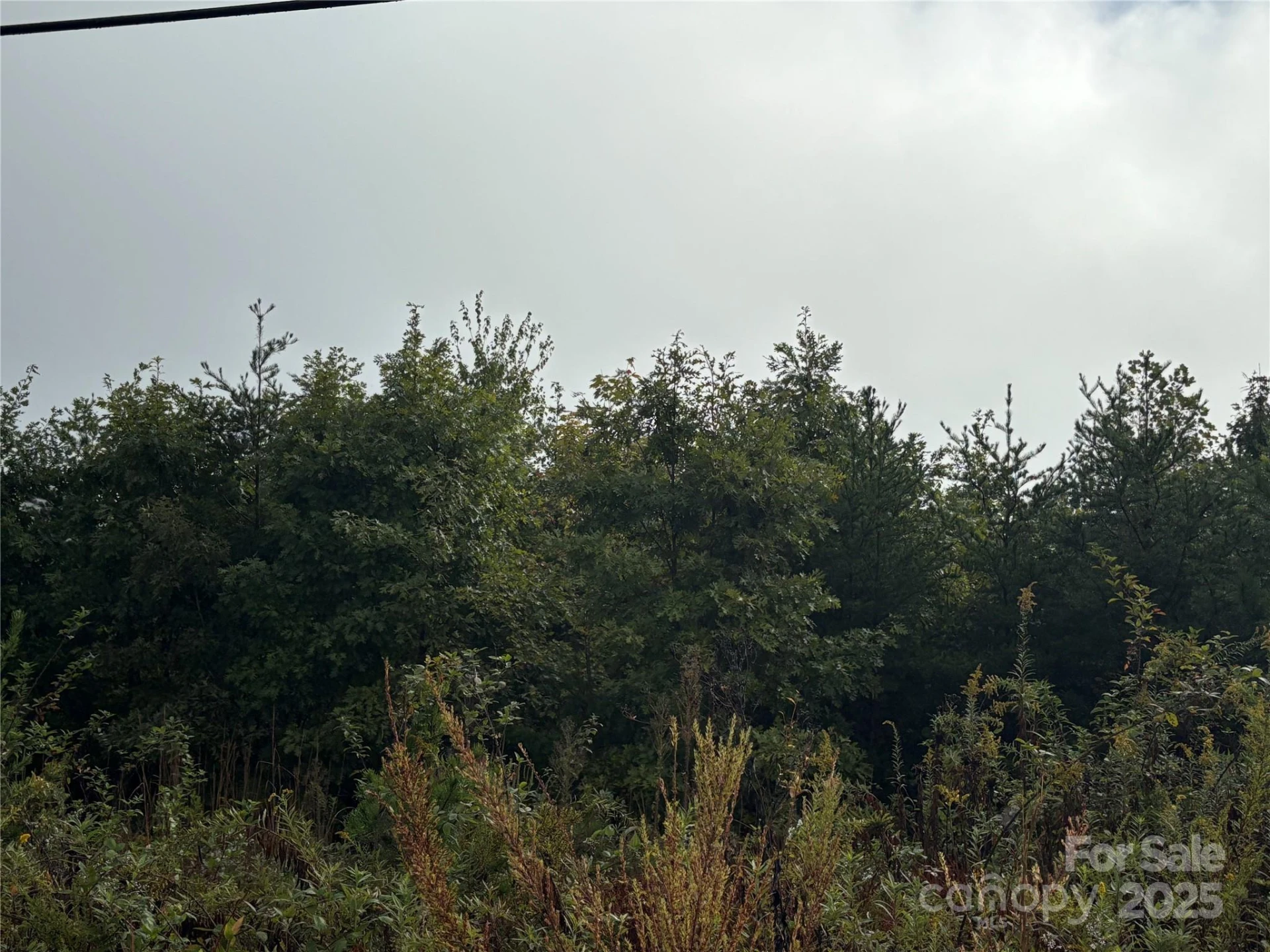 0 Hopewell Road - Photo 5
