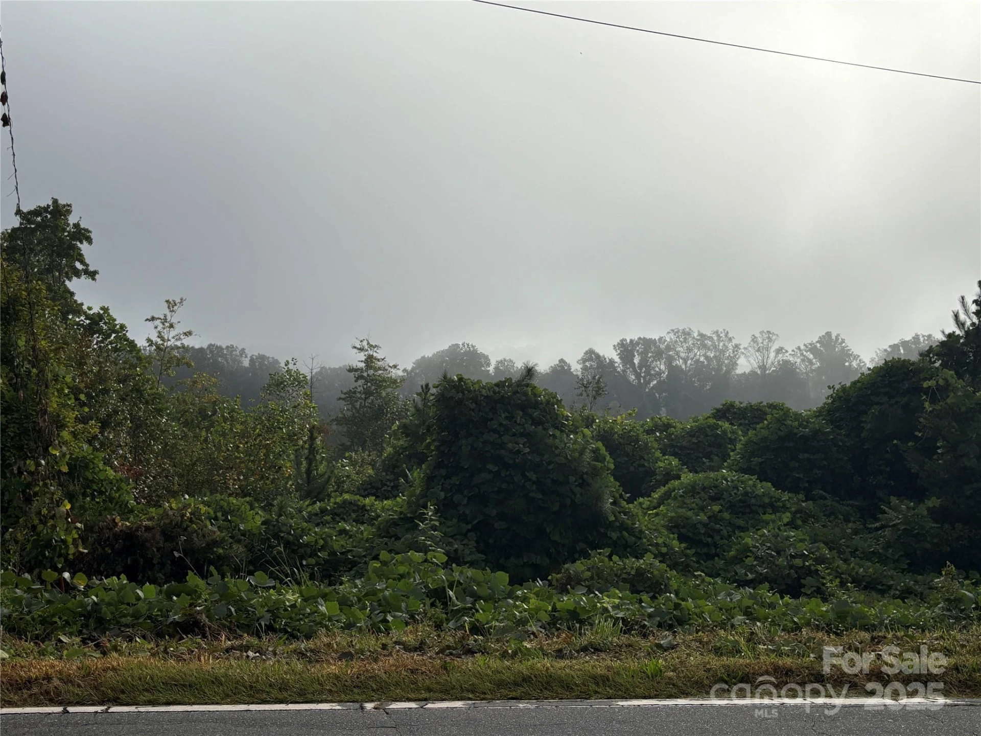 0 Hopewell Road - Photo 6