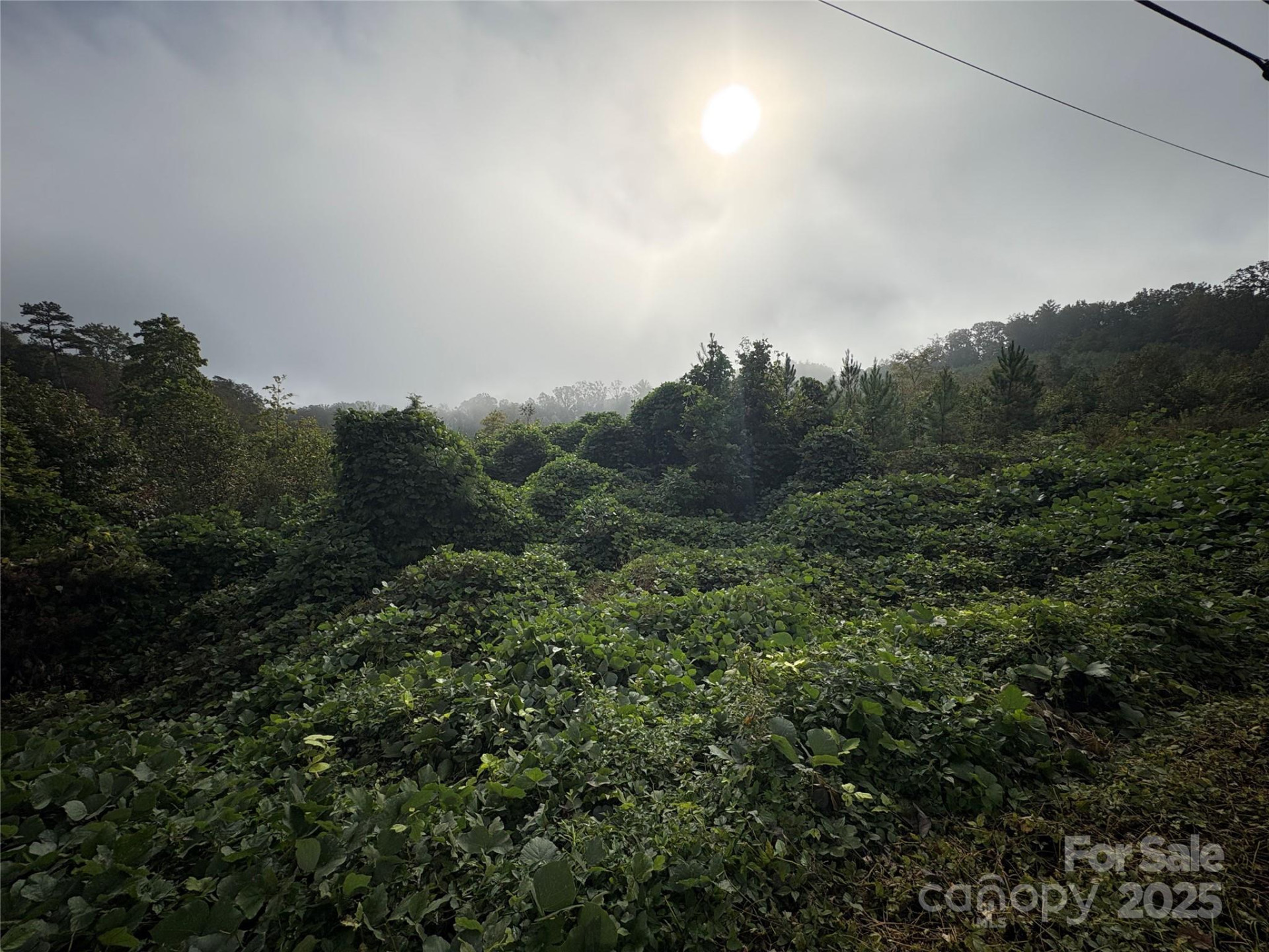 0 Hopewell Road - Photo 7