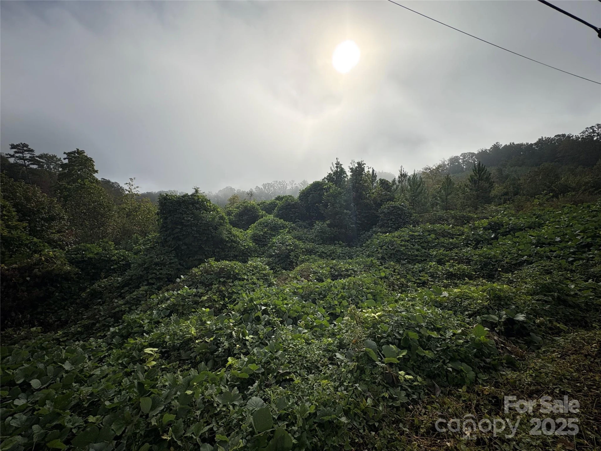 0 Hopewell Road - Photo 7