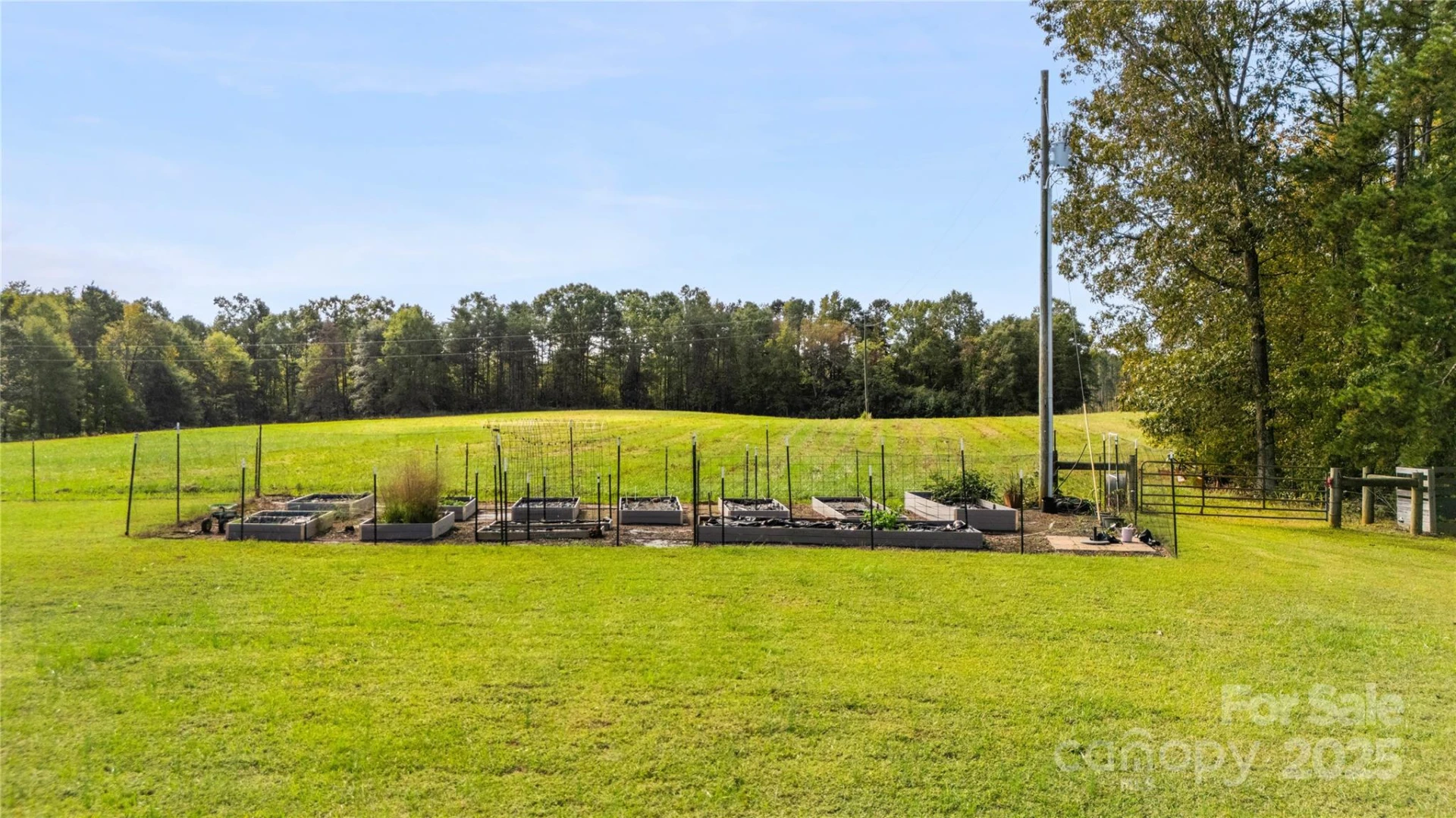 660 Scoggins Road - Photo 42