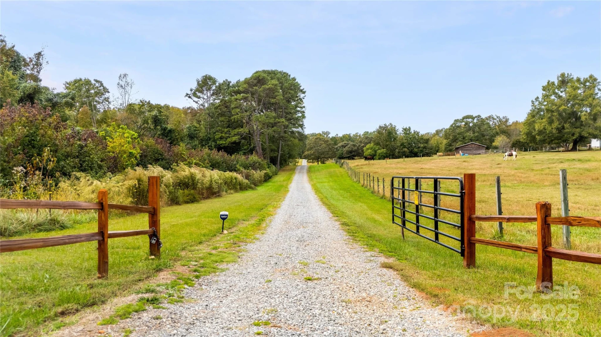 660 Scoggins Road - Photo 46