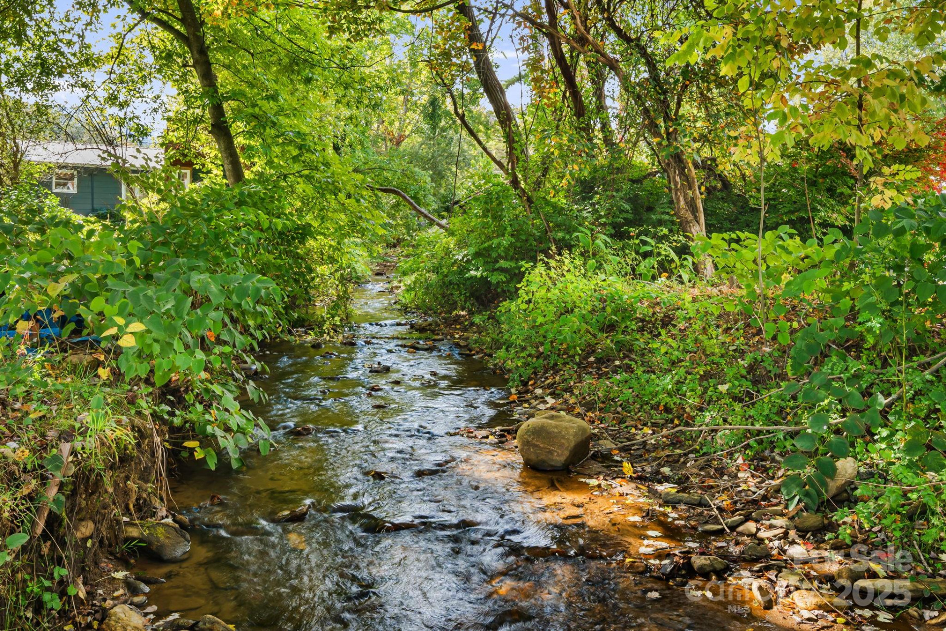 25 Pinewood Drive - Photo 30