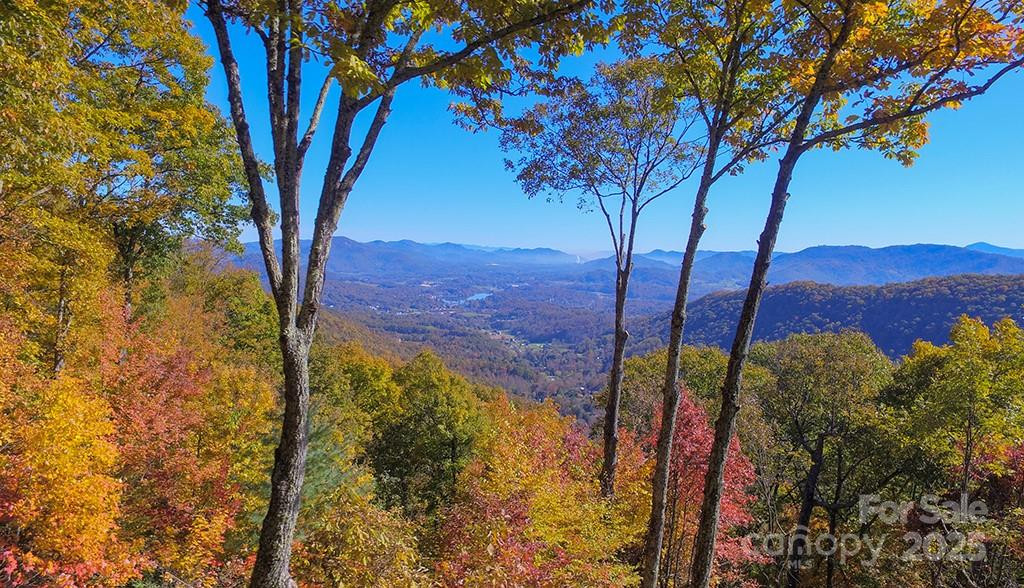 382 Walela Trail - Photo 2