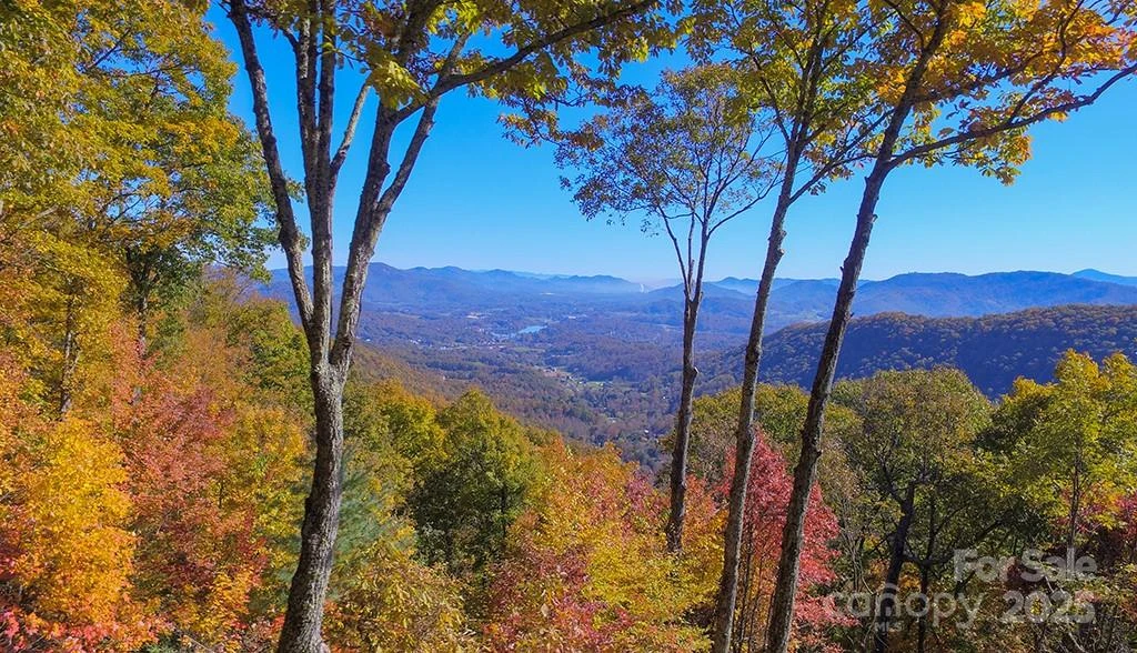 382 Walela Trail - Photo 2