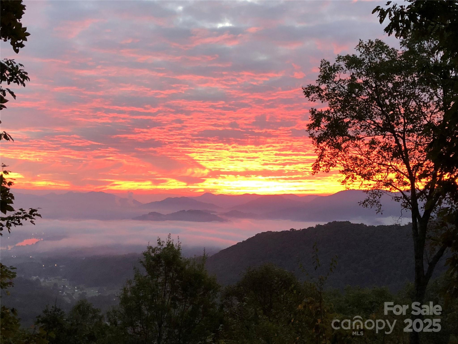 382 Walela Trail - Photo 3