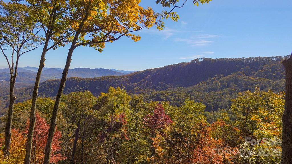 382 Walela Trail - Photo 42