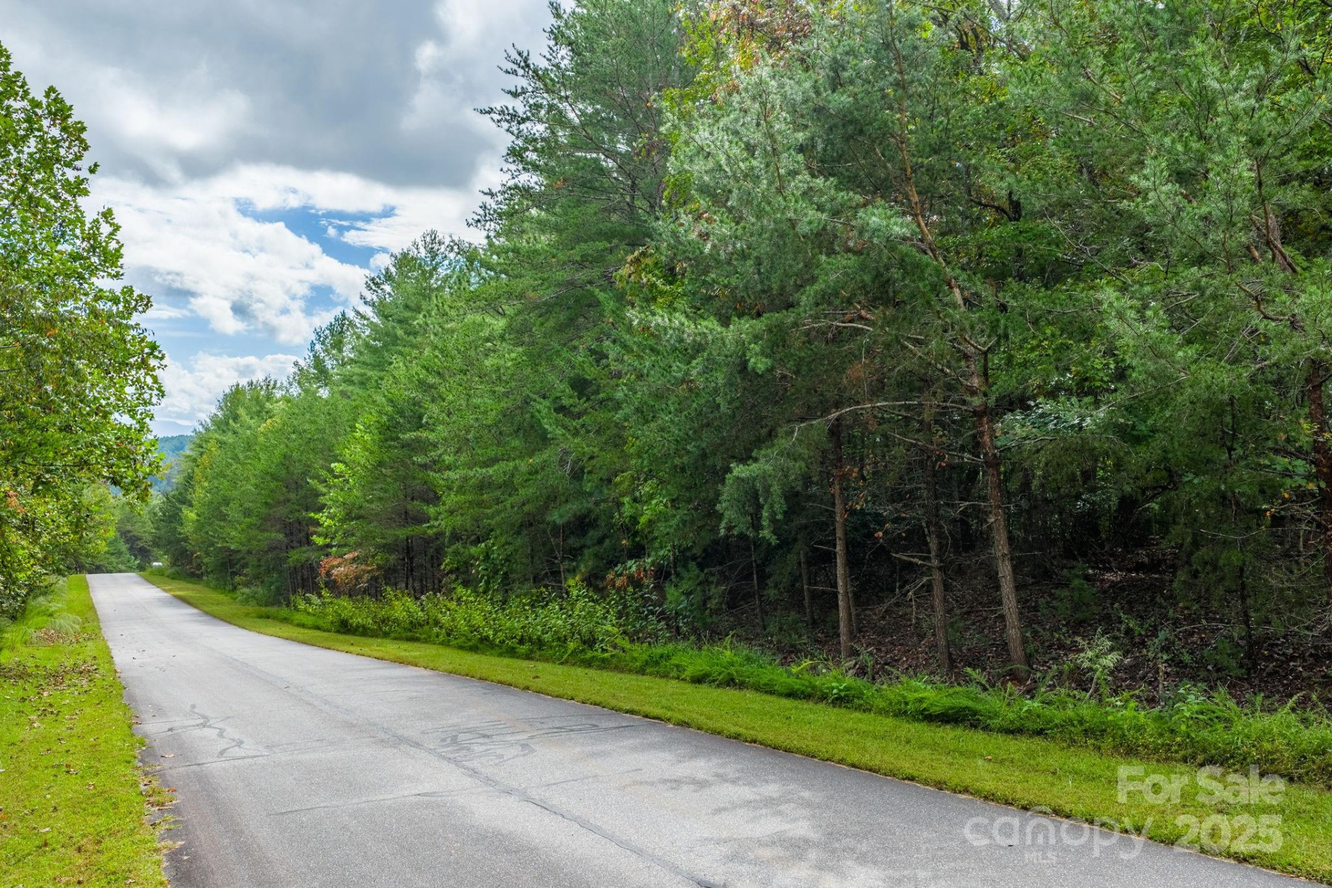 913 Bear Cliff Drive #24 - Photo 11