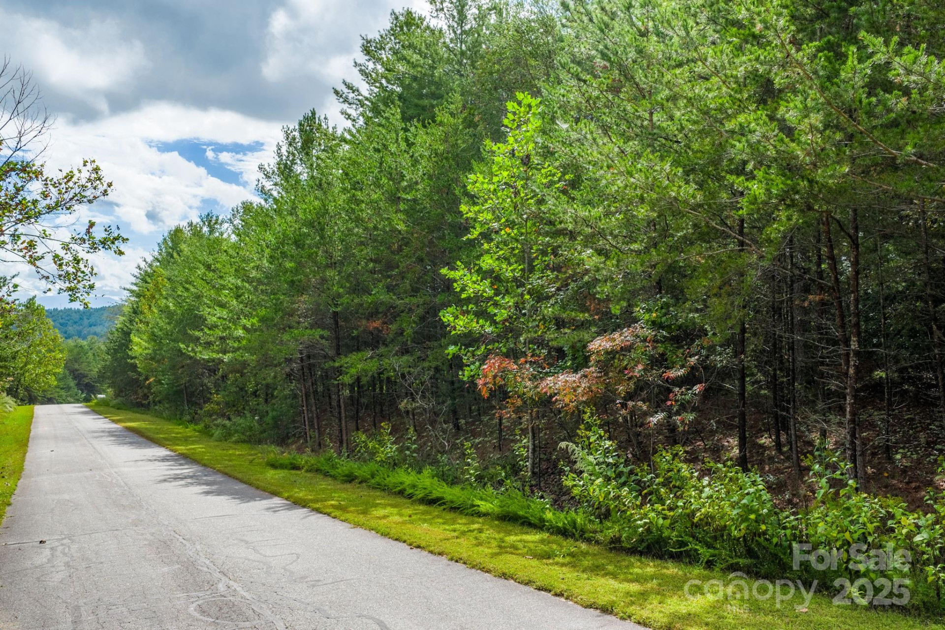 913 Bear Cliff Drive #24 - Photo 12