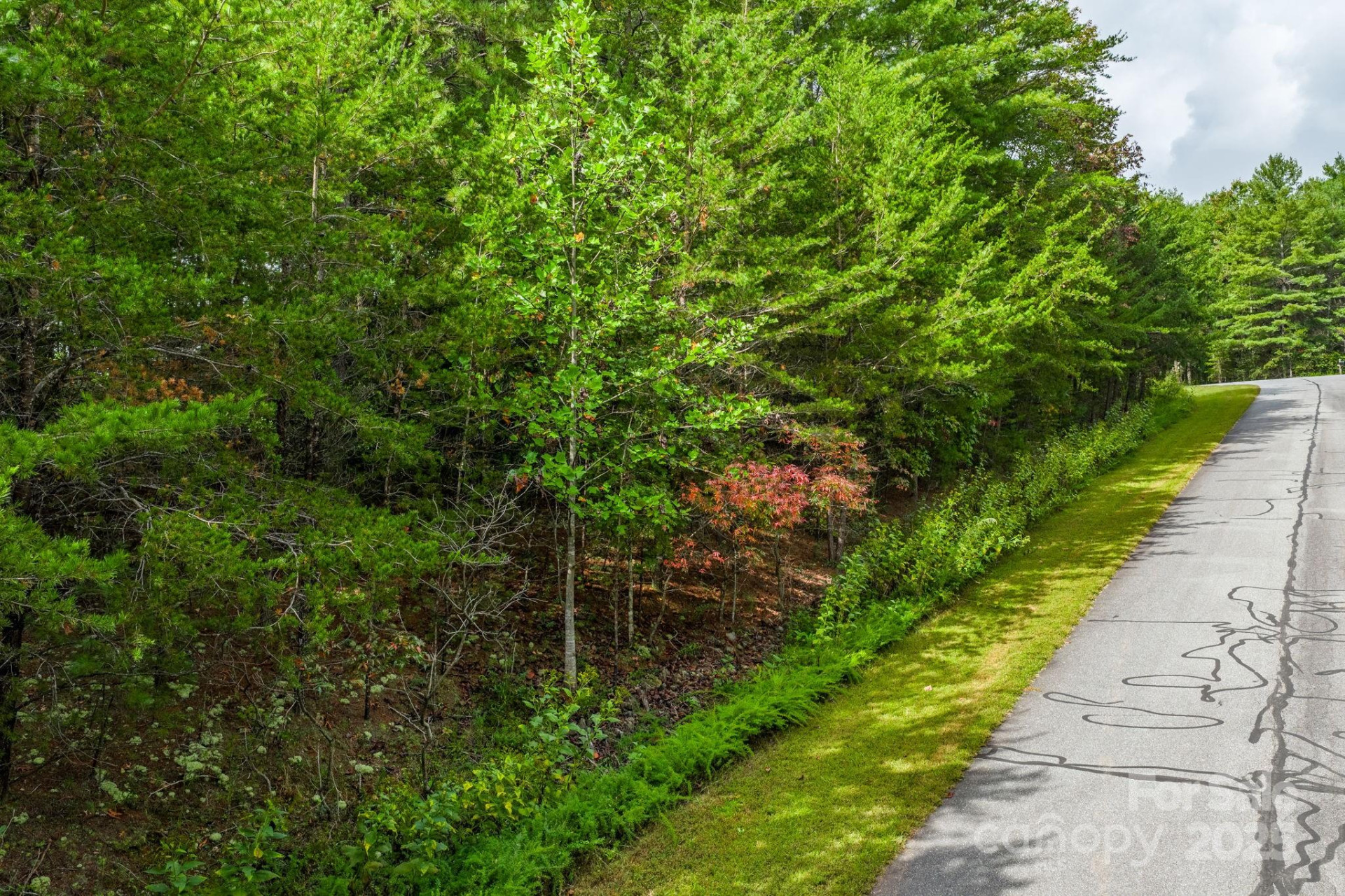 913 Bear Cliff Drive #24 - Photo 13