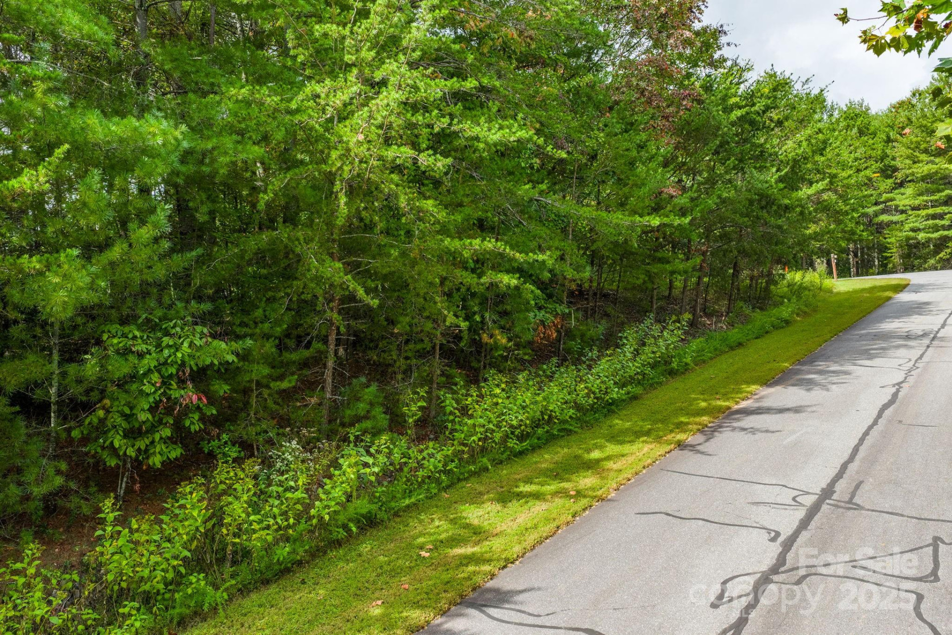 913 Bear Cliff Drive #24 - Photo 14