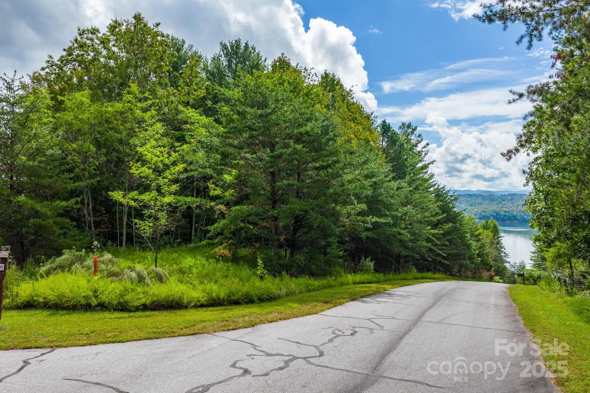 913 Bear Cliff Drive #24 - Photo 4