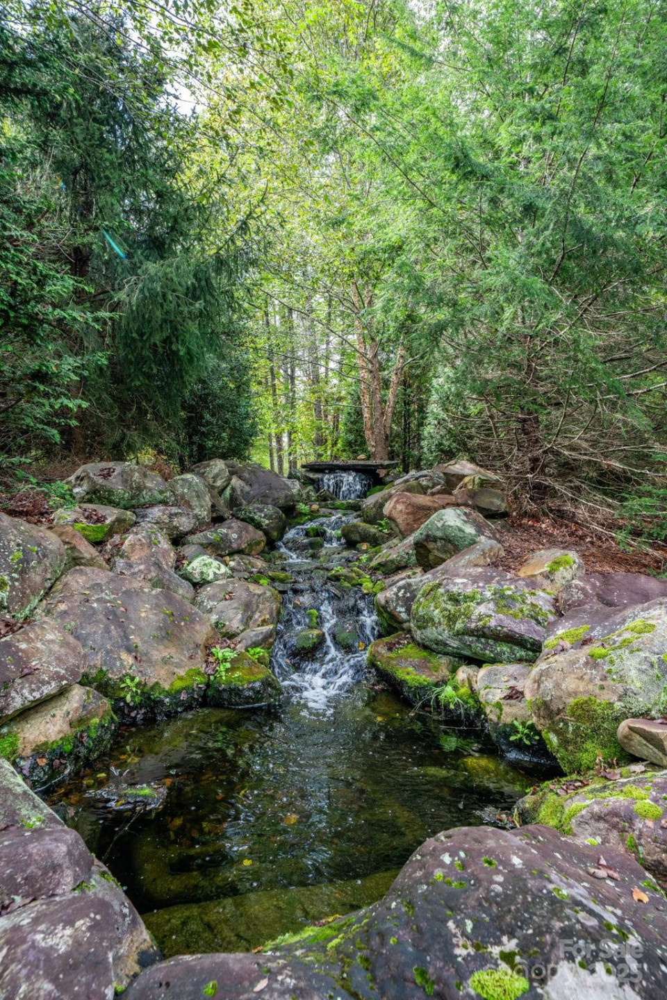 913 Bear Cliff Drive #24 - Photo 33