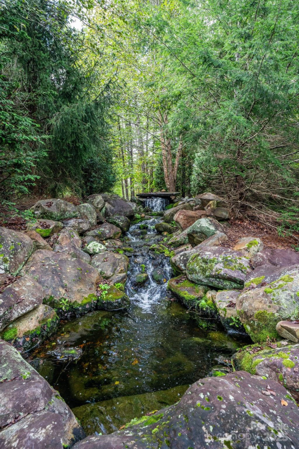 913 Bear Cliff Drive #24 - Photo 34