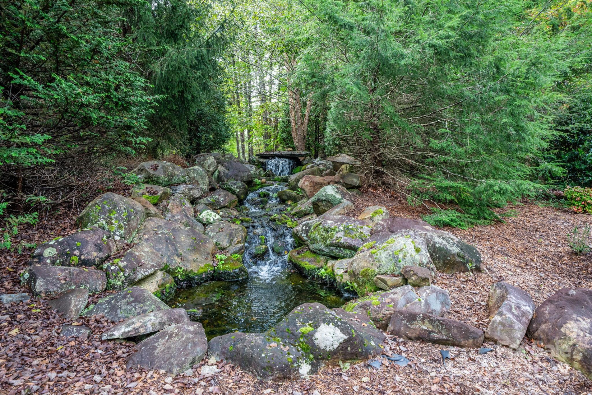 913 Bear Cliff Drive #24 - Photo 35