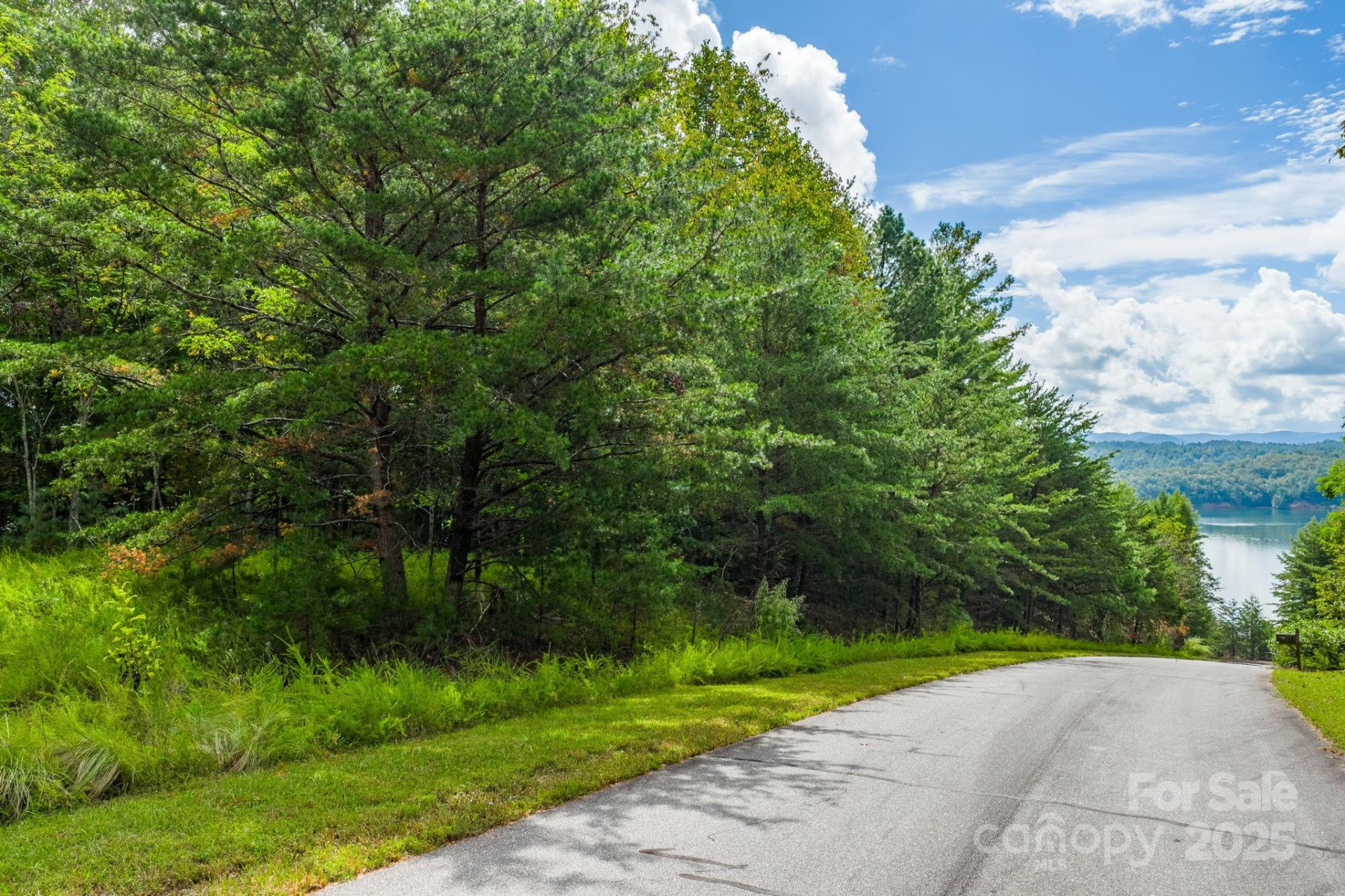 913 Bear Cliff Drive #24 - Photo 5