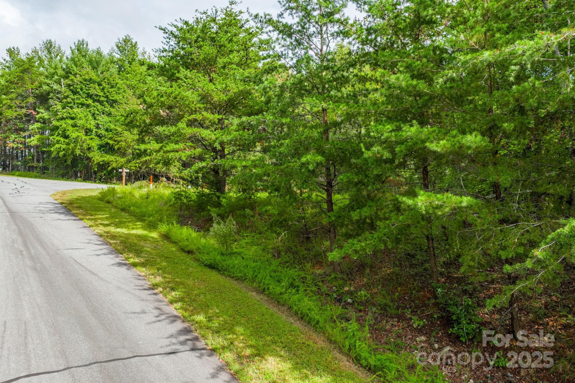 913 Bear Cliff Drive #24 - Photo 8