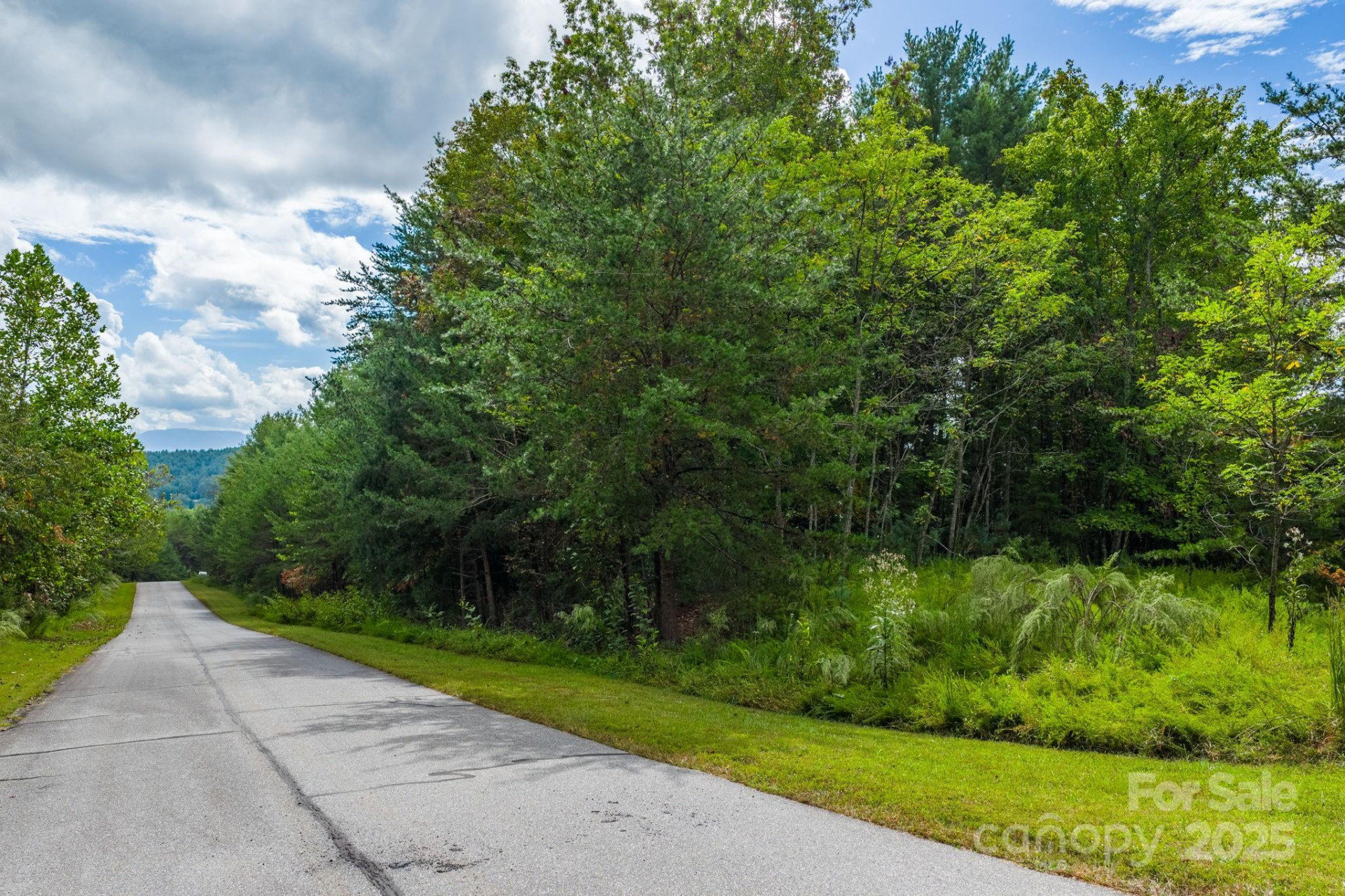 913 Bear Cliff Drive #24 - Photo 10