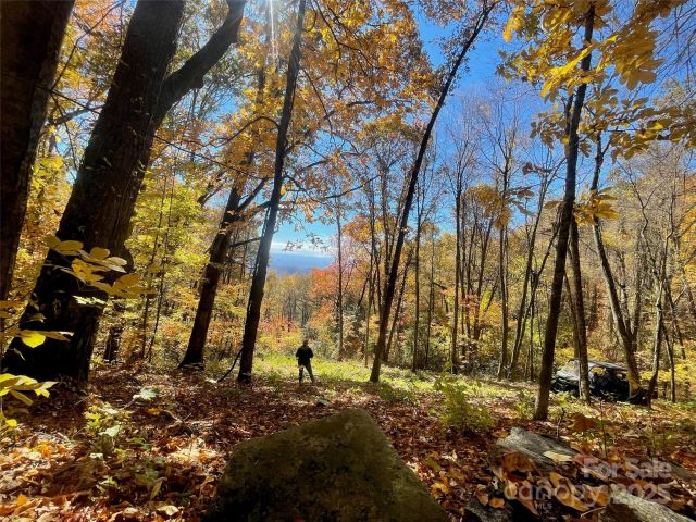 00000 New Sprout Lane