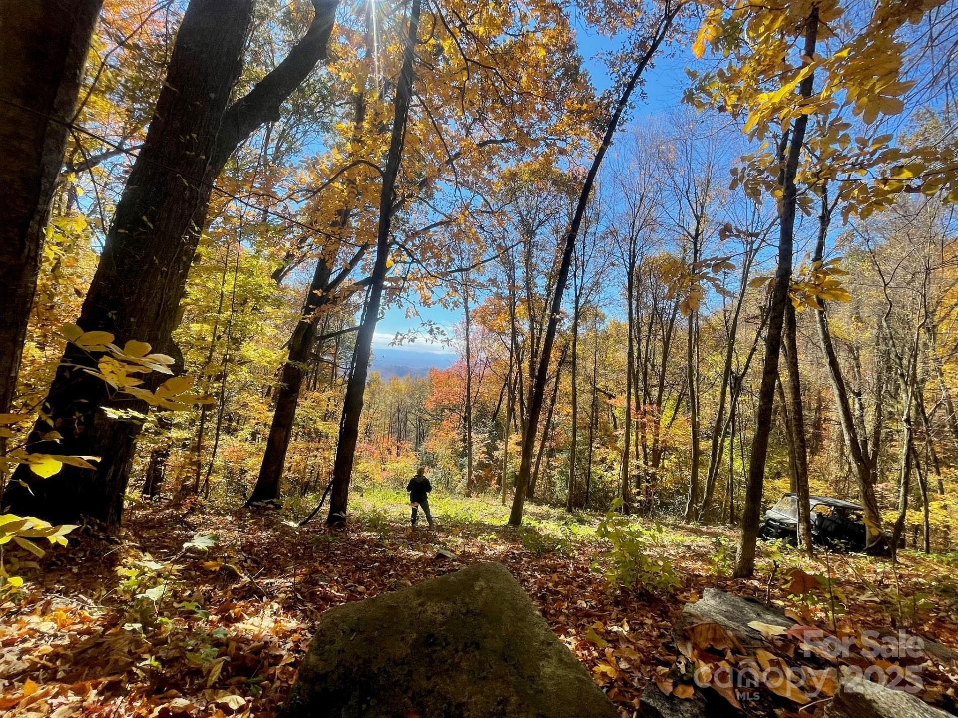 00000 New Sprout Lane #1