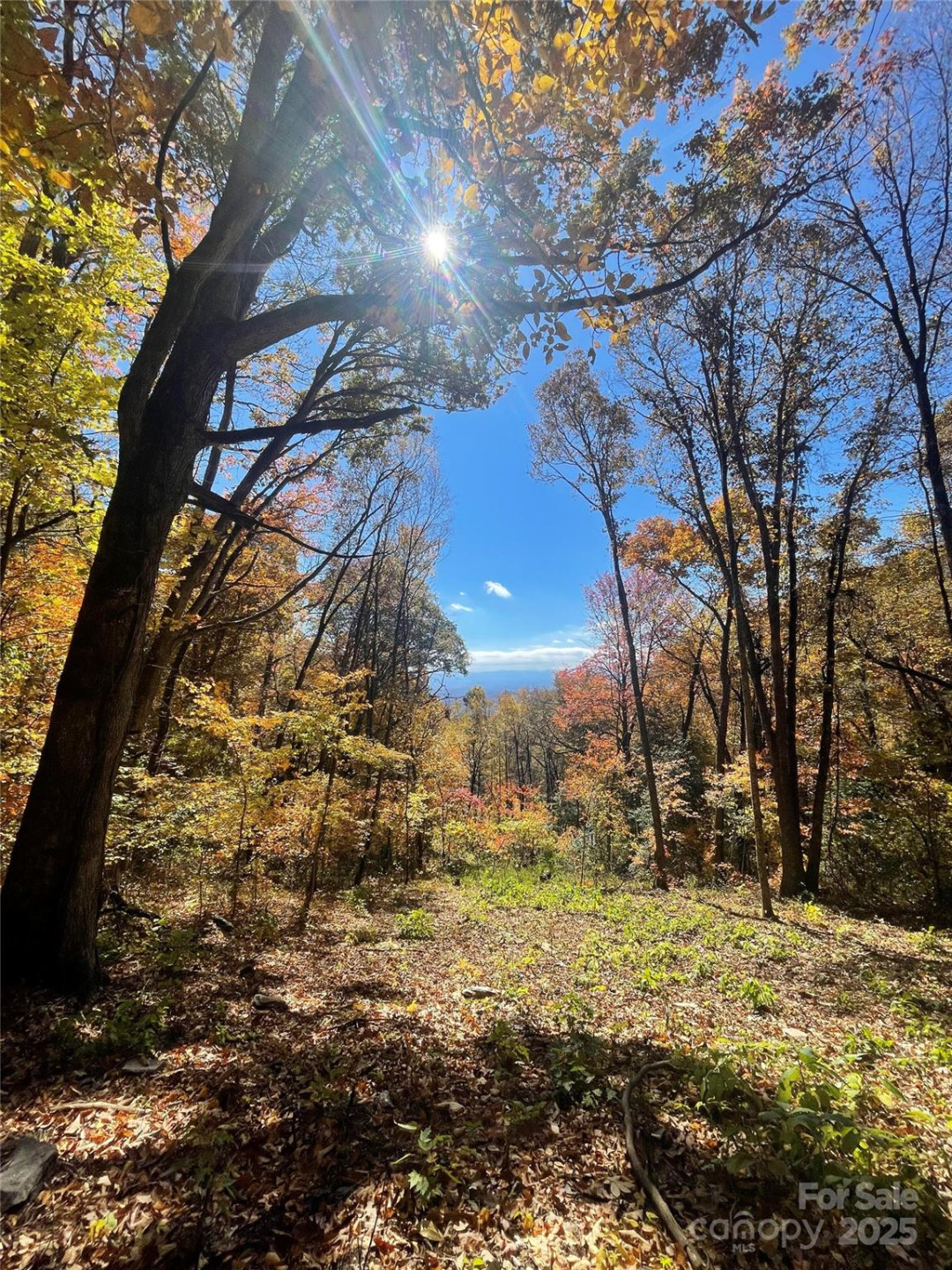 00000 New Sprout Lane #1 - Photo 2