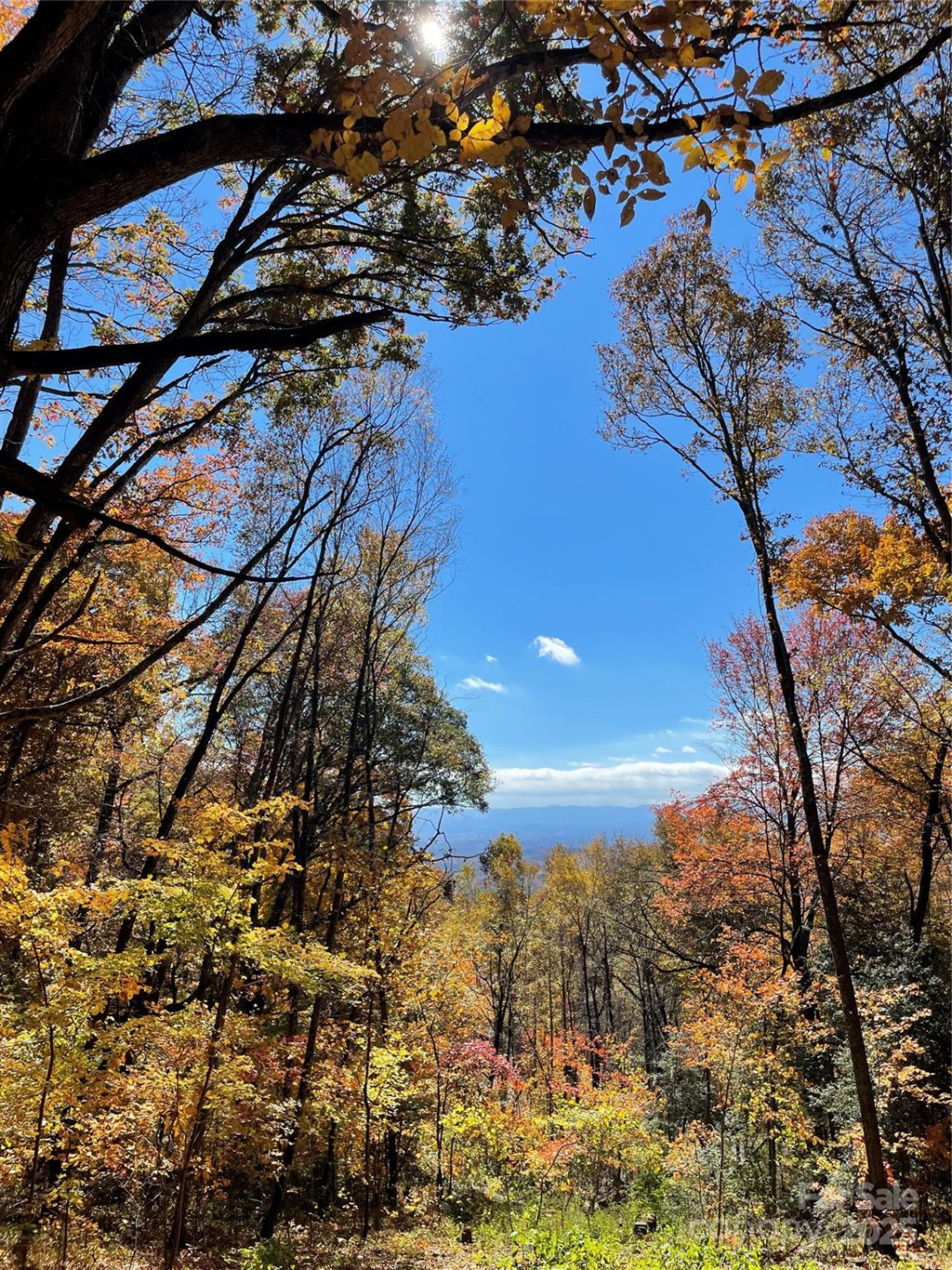 00000 New Sprout Lane #1 - Photo 3